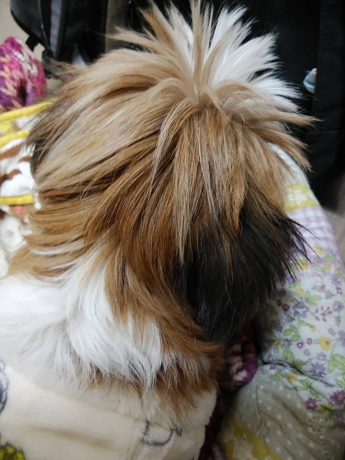 2022,12,31SY後頭部